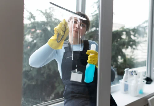 Nettoyage de vitres intérieures et extérieures à Tallud-Sainte-Gemme